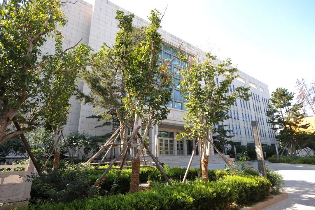 摩斯国际深耕家装环保辅料赛道，荣获“绿色领跑企业”称号