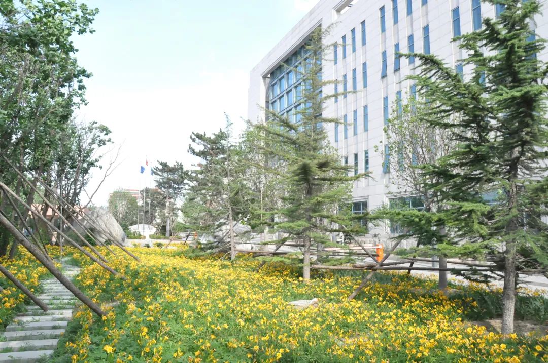 践行可持续发展理念,摩斯国际全链路打造环保健康人居环境